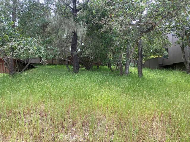 0 Ardath, Cambria, CA 93428