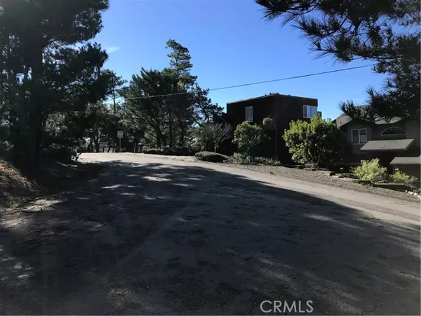 Cambria, CA 93428,0 Richard