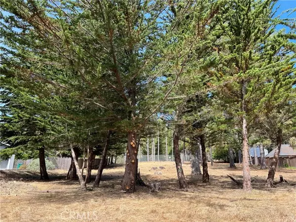 Cambria, CA 93428,0 Warren