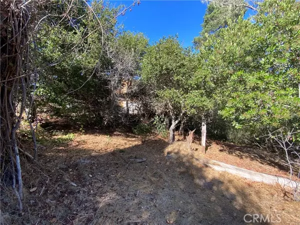 Cambria, CA 93428,0 Wilton Drive