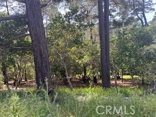 0 Bradford, Cambria, CA 93428