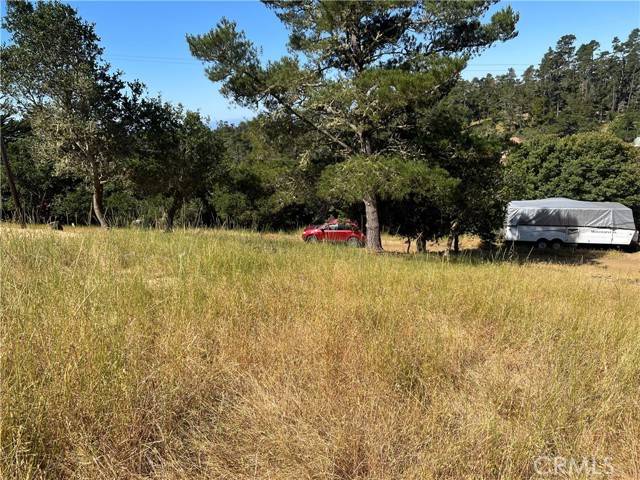 Cambria, CA 93428,0 Pierce