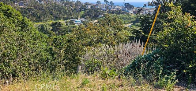 Cambria, CA 93428,0 Croyden