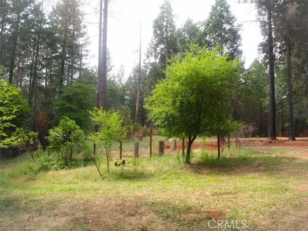 Magalia, CA 95954,14340 Dogtown