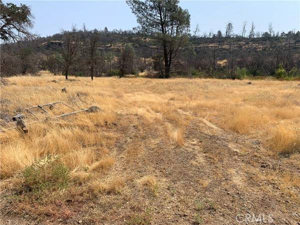 Butte Valley, CA 95965,3923 Dry Creek