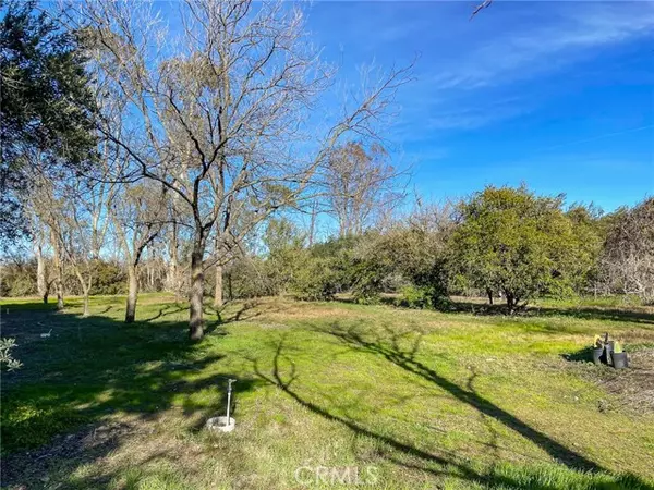 Orland, CA 95963,6900 County Road 200