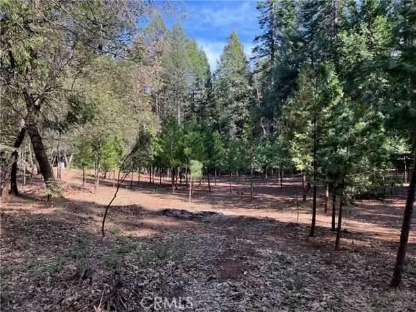 Forest Ranch, CA 95942,0 Headwaters