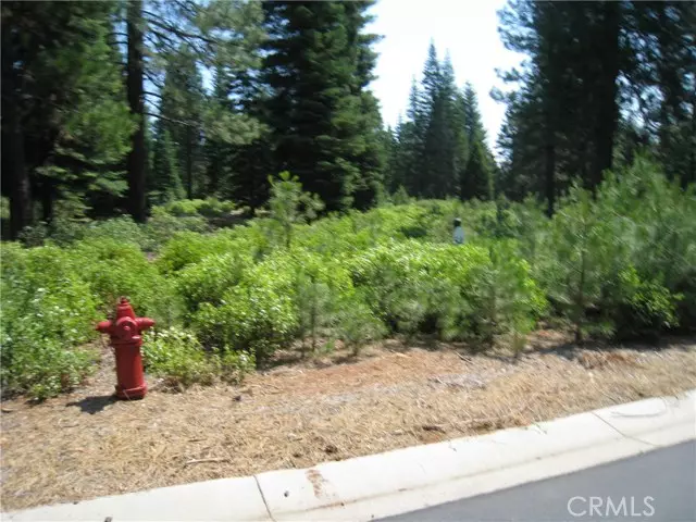 150 Long Leaf Pine, Lake Almanor, CA 96137