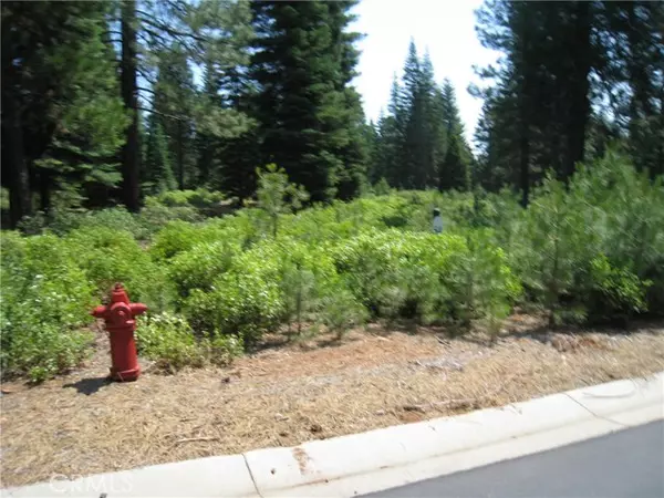 150 Long Leaf Pine, Lake Almanor, CA 96137