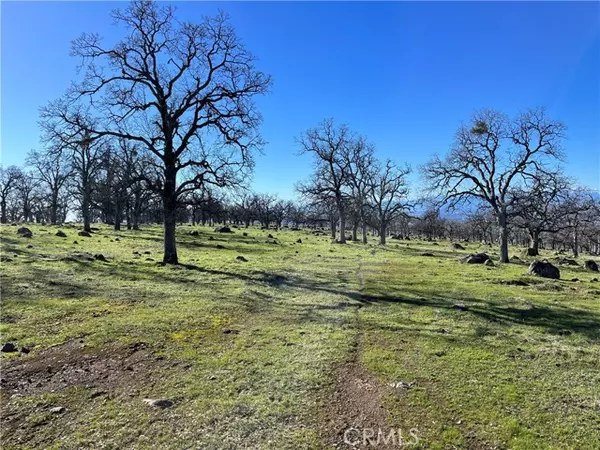 Red Bluff, CA 96080,0 Tuscan Springs