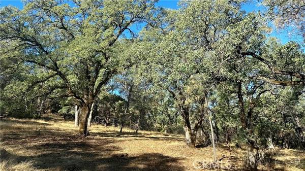 0 Rich Gulch, Yankee Hill, CA 95965