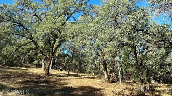 0 Rich Gulch, Yankee Hill, CA 95965