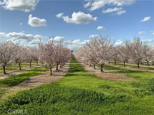 Corning, CA 96021,24895 New Jersey Avenue