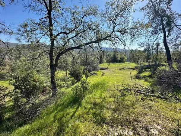 Oroville, CA 95966,169 Shady Oak