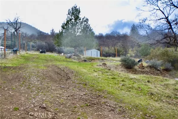 Hornbrook, CA 96044,0 Lot 356 Cougar