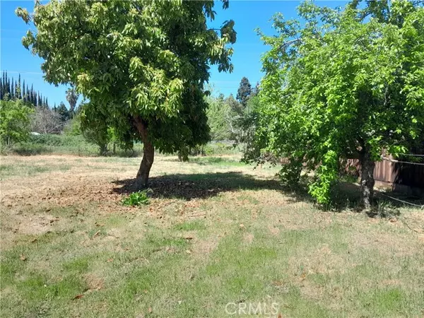 Chico, CA 95928,1135 Berrington Road