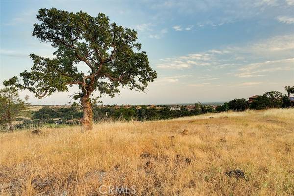 3320 Shadybrook lane, Chico, CA 95928