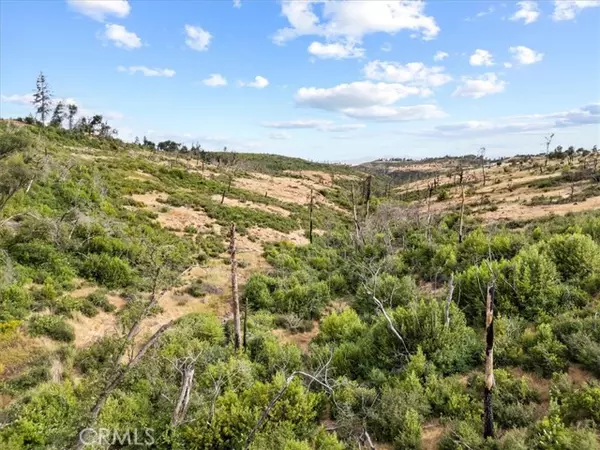 Paradise, CA 95969,0 013.15 AC Bennett Rd