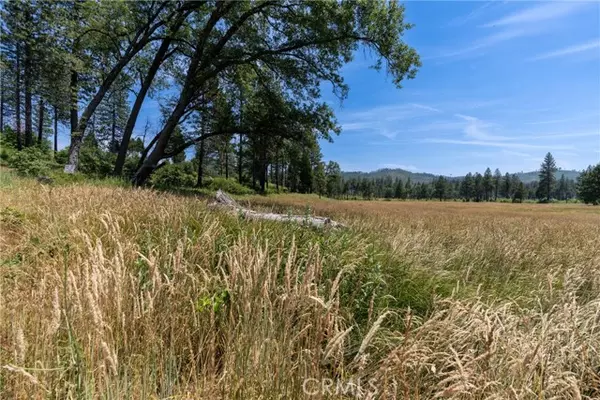 Concow, CA 95965,100 Windermere