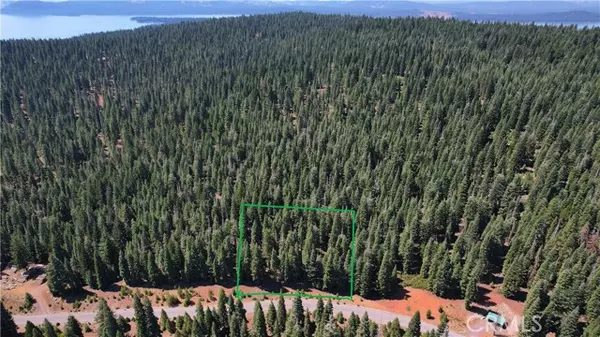 217 Snowy Peak, Lake Almanor, CA 96137