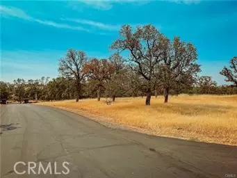 Chico, CA 95973,0 Indian Cliffs Drive Lot 17