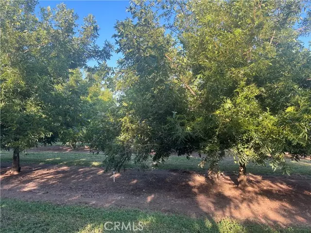 14450 Meridian Road, Chico, CA 95973