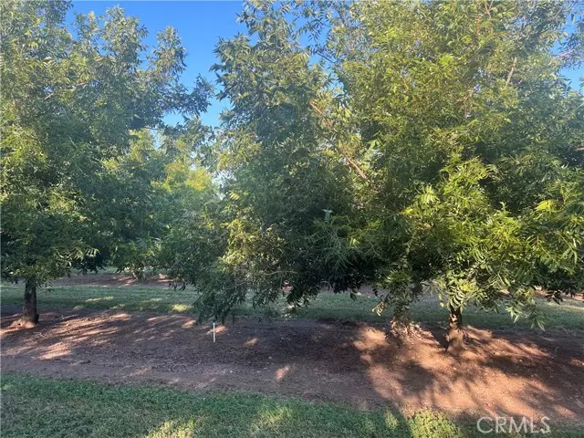 14450 Meridian Road, Chico, CA 95973