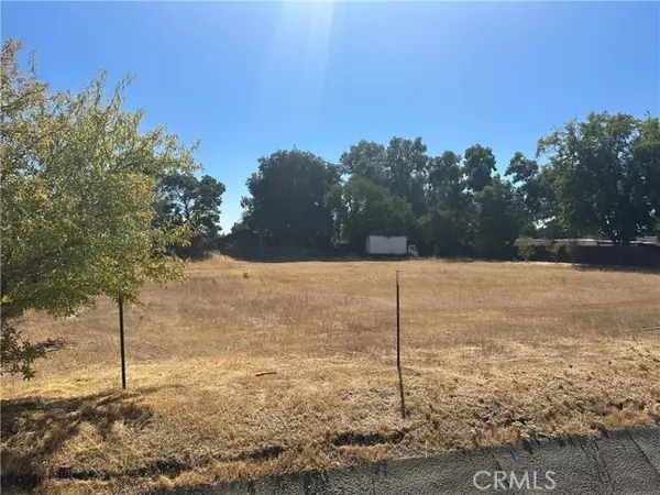 Orland, CA 95963,0 County Road 14