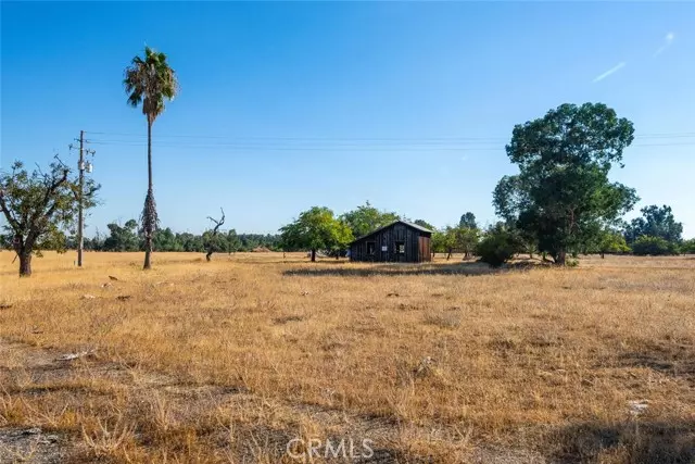 Orland, CA 95963,0 County Road 9