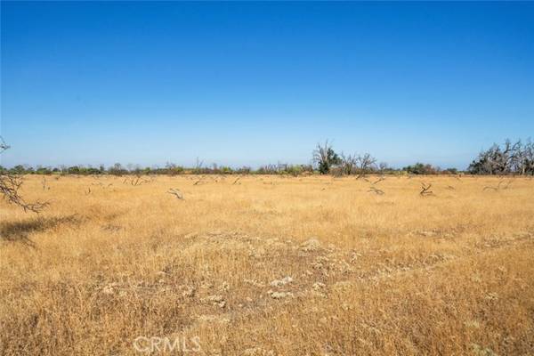 Orland, CA 95963,0 County Road 9