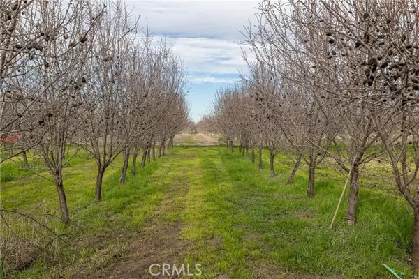 Corning, CA 96021,6330 Piedmont Road