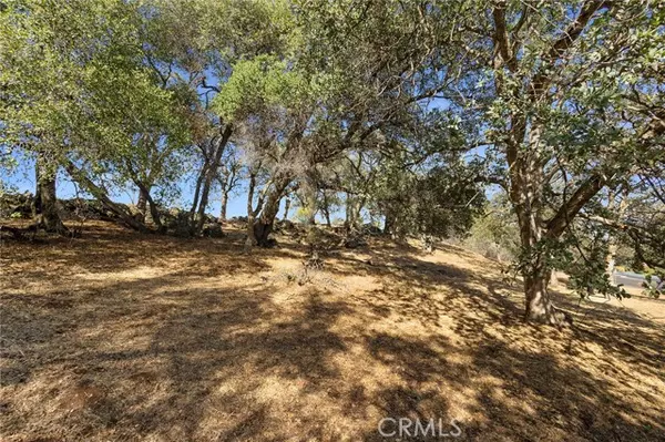 Chico, CA 95928,3176 Canyon Oaks