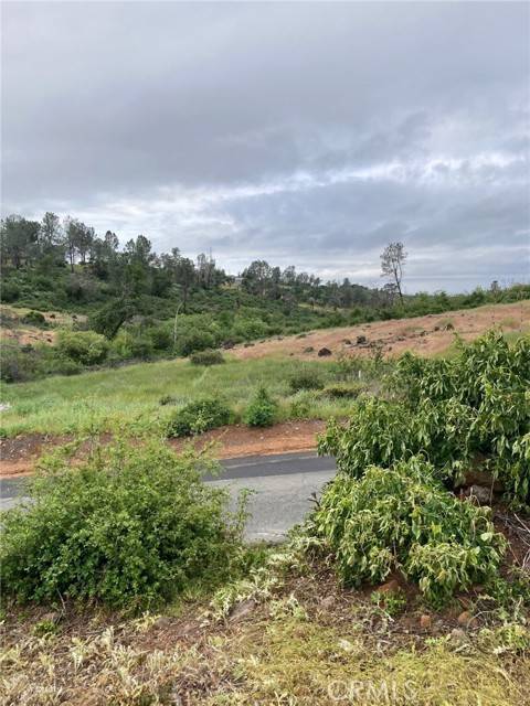Paradise, CA 95969,1 Wayland