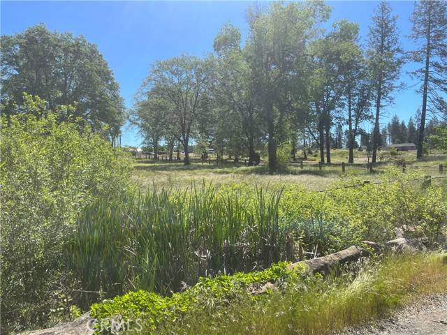 Paradise, CA 95969,1638 Maple Leaf