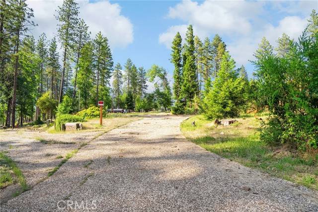 Paradise, CA 95969,1595 Bever