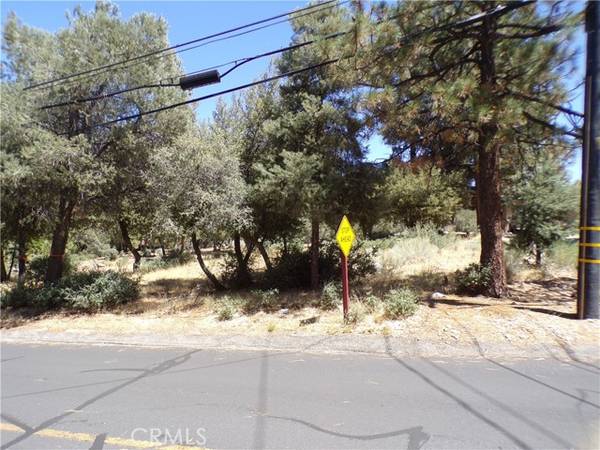 Pine Mountain Club, CA 93222,16220 Askin Drive