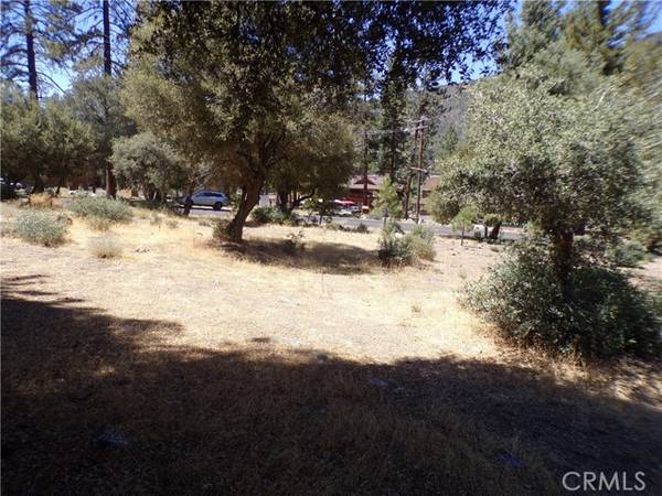 Pine Mountain Club, CA 93222,16220 Askin Drive