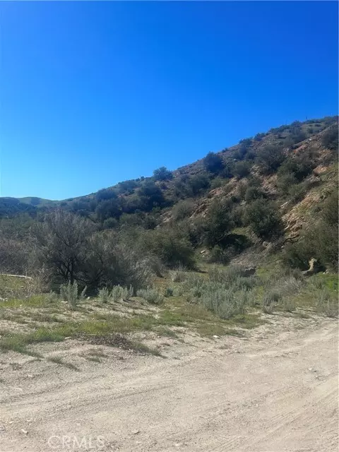 Agua Dulce, CA 91350,0 Vac/Silver Canyon Drt /Vic Oak