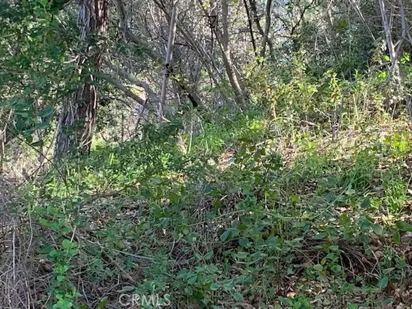 Topanga, CA 90290,0 Vacant Lot