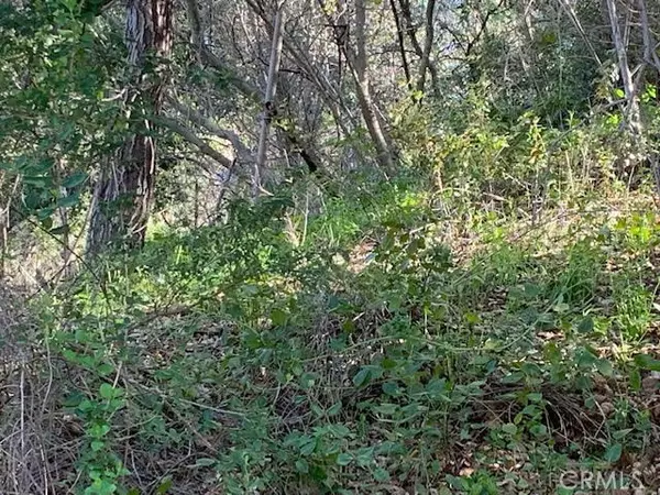 Topanga, CA 90290,0 Vacant Lot