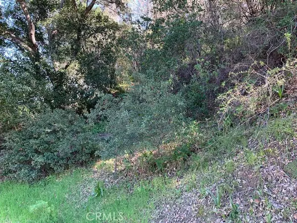 Topanga, CA 90290,0 Vacant Lot