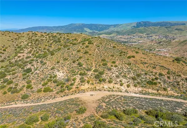 Agua Dulce, CA 91350,0 Vac/Vic Alfie Road Drt /Shallo