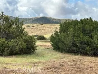 Agua Dulce, CA 93510,0 Vac/Cor Hierba Rd/Brian