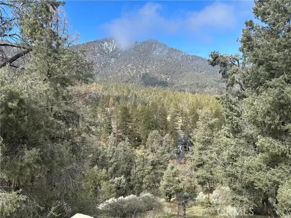 Pine Mountain Club, CA 93222,2101 Ironwood