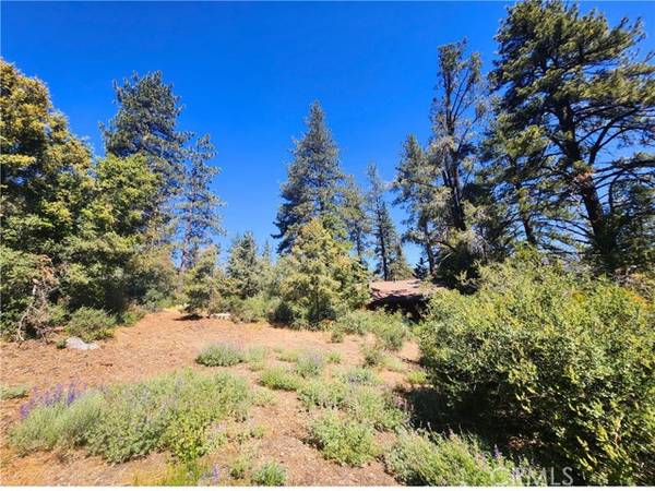 1708 Freeman, Pine Mountain Club, CA 93222