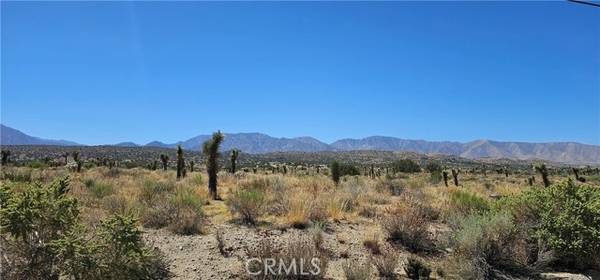 0 Ft Tejon/Vic Bob Gaps, Llano, CA 93544