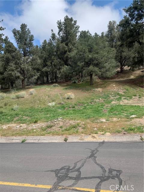 Pine Mountain Club, CA 93222,2204 Woodland