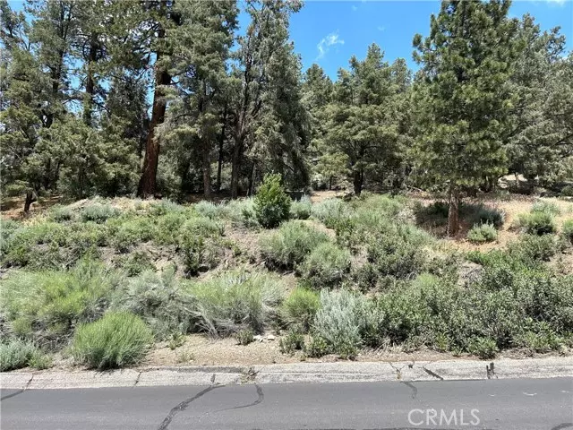 2208 Woodland, Pine Mountain Club, CA 93222