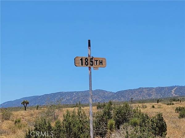 18501 Fort Tejon, Llano, CA 93544