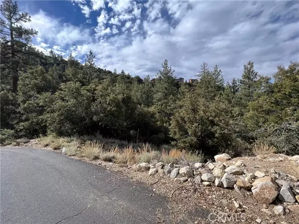 1713 Linden, Pine Mountain Club, CA 93222